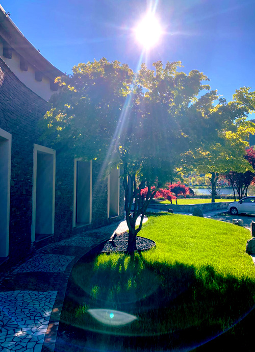 Il giardino di dasQ illuminato dal sole